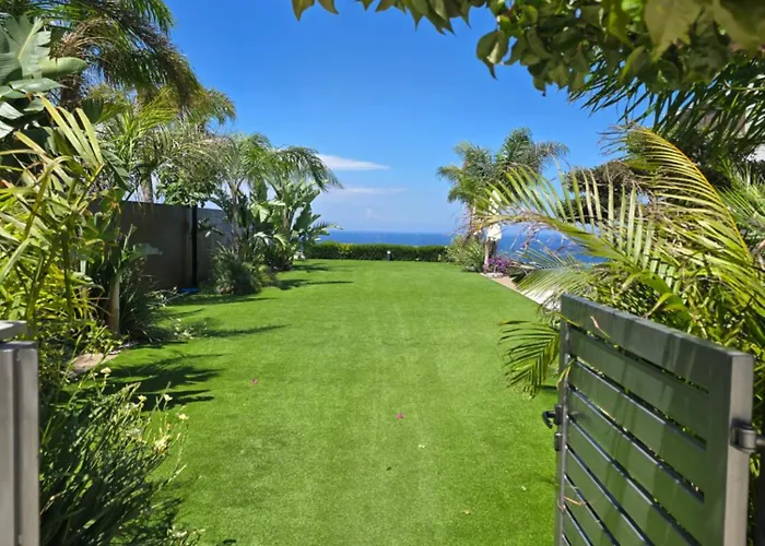 فيلة The Oasis *