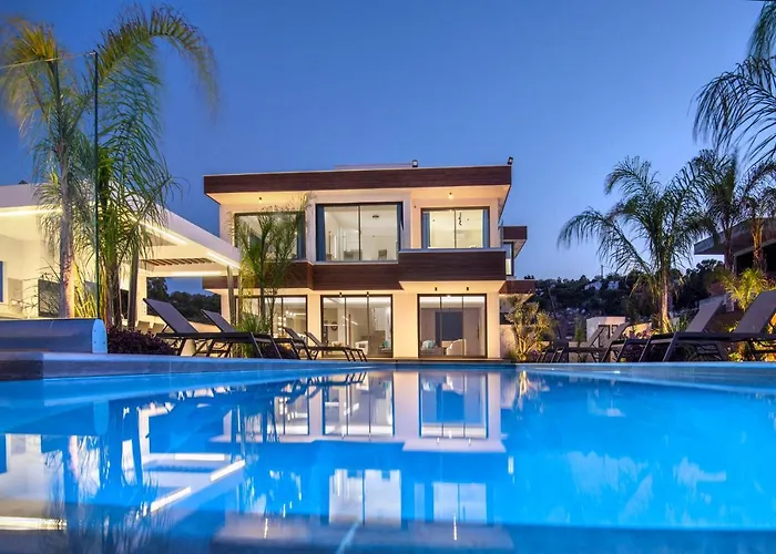 The Oasis