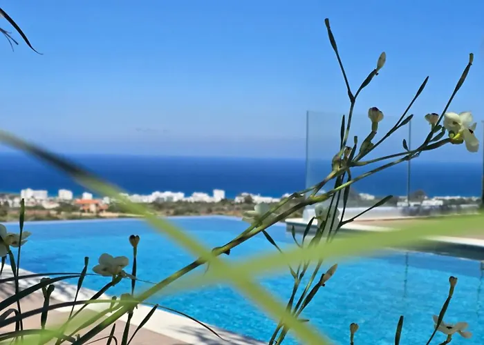 The Oasis * Protaras